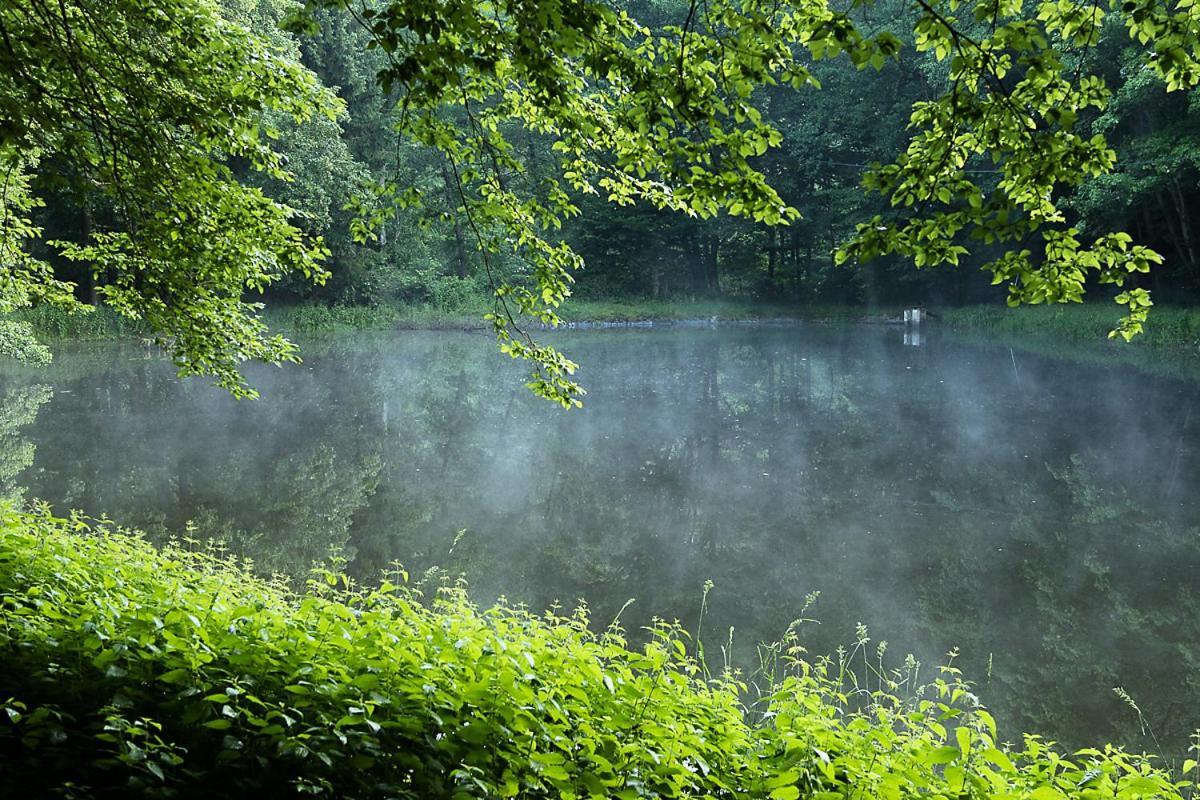 Landgasthof Hieren Muehle Ney Kültér fotó